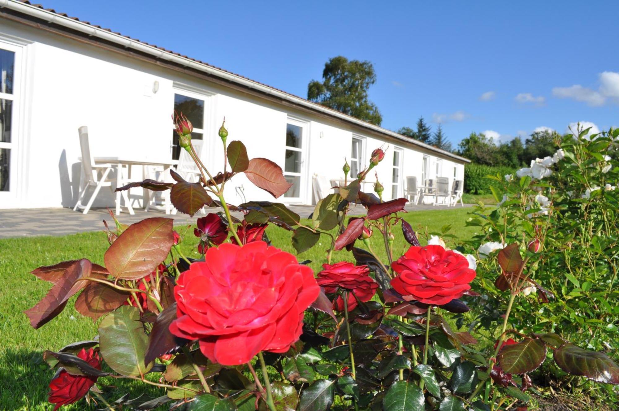 Koebenhovedskov Bed & Breakfast Rødding Exterior foto